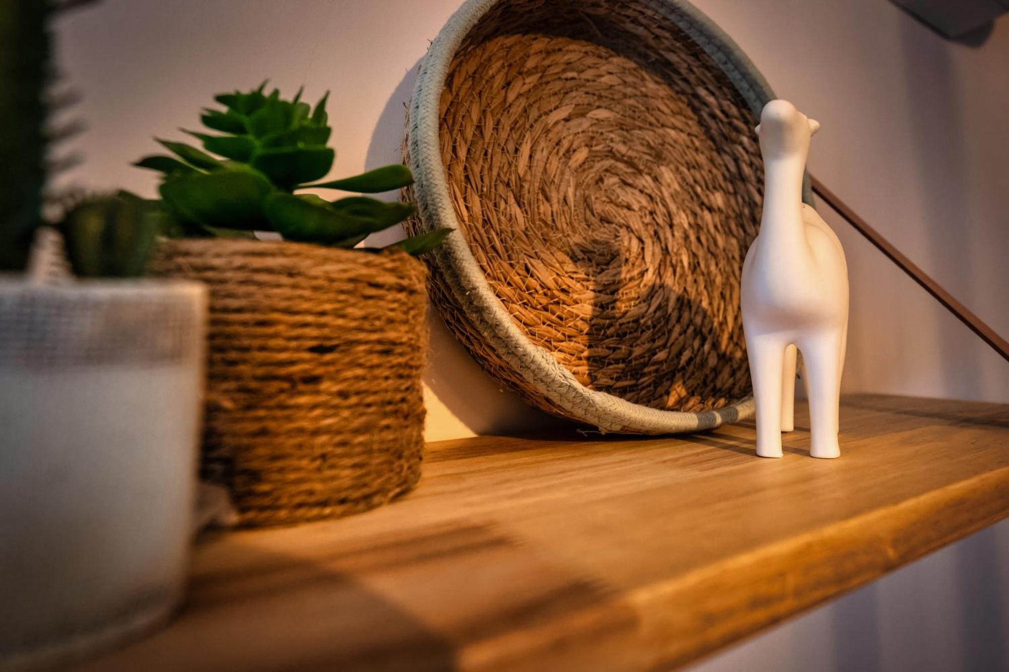 Magic Surf House Appartement Lacanau Buitenkant foto